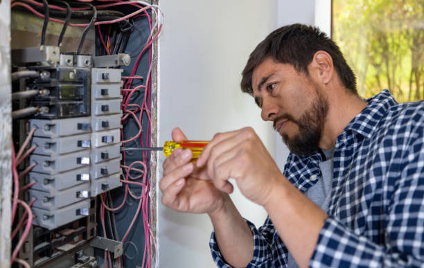 Best Electrical System Inspection  in Buckeystown, MD